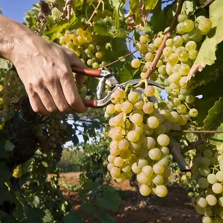 Apartment In With Sea View, Balcony, Air Conditioning, W-lan *